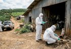 Minas Gerais confirma primeira morte por hantavírus em 2026