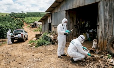 Minas Gerais confirma primeira morte por hantavírus em 2026